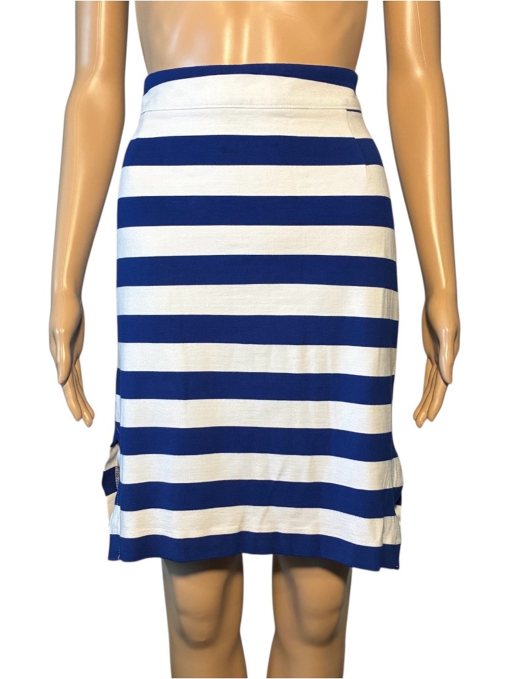 Banana Republic Women's Skirt Size 8 Blue Striped Side Zipper Closure A-Line